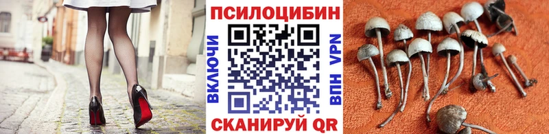 Галлюциногенные грибы прущие грибы  дарнет шоп  Верхнеуральск 